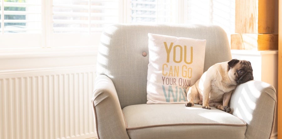 How can you use natural light to your advantage?