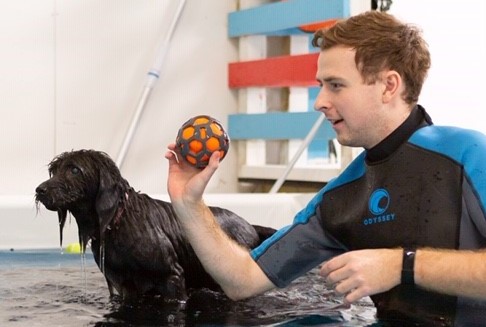 Keep your dog safe this summer with SWIM CLUB
