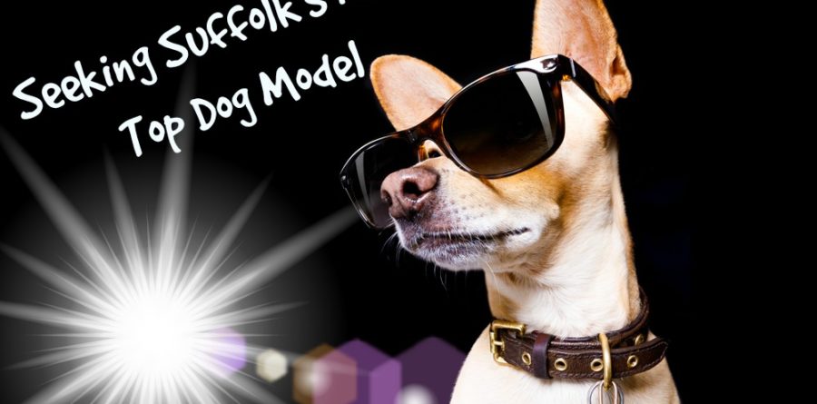 Suffolk Canine Creche supports the Lighthouse Summer Fashion Show