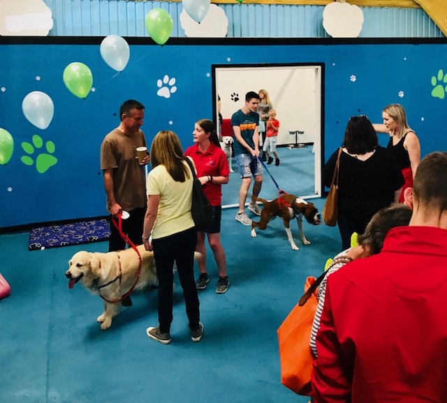 St. Mary’s Canine Creche host launch party!