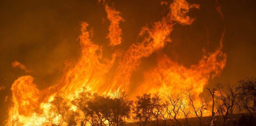 Risk of wildfires increased by soaring temperatures