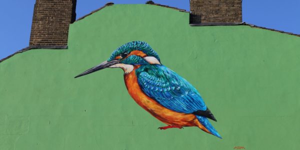 Kingfisher Mural