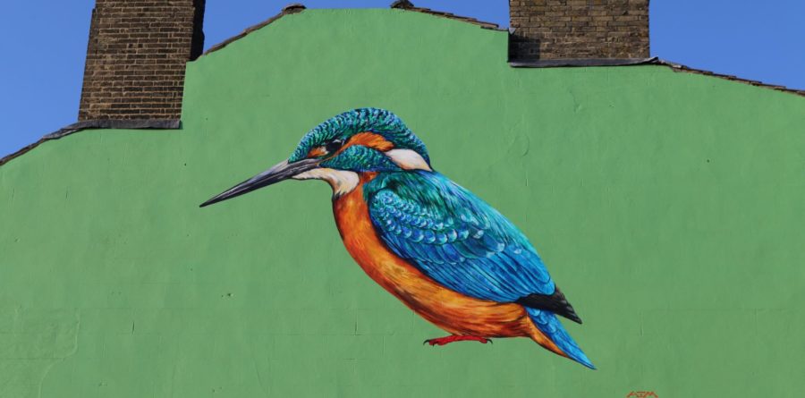 ABP teams up with Suffolk Wildlife Trust to create stunning local mural