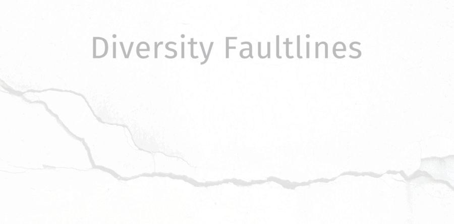 Diversity Faultlines