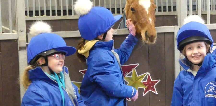 Ponies prove the mane attraction as siblings enjoy a day of fun at Newmarket