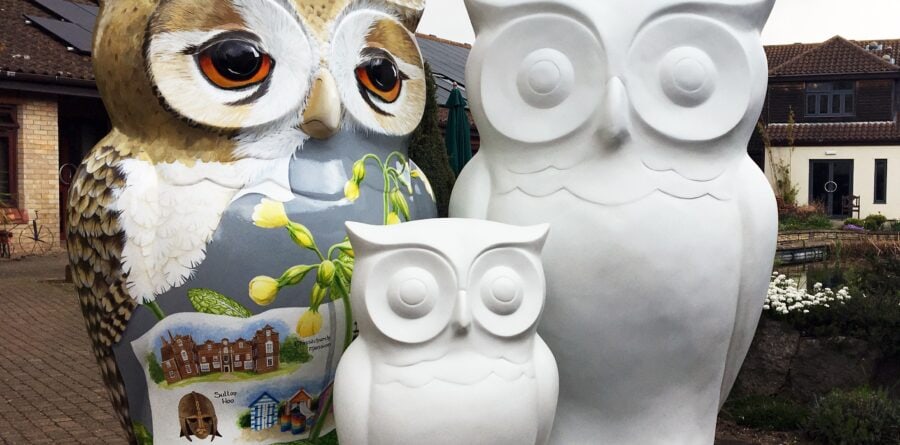 Over £10,000 of funding secured for St Elizabeth Hospice ‘We Give A Hoot’ community programme