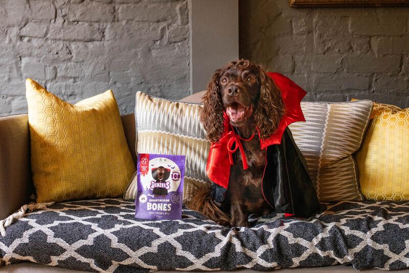 Howl-o-ween: Invitation for Norfolk and Suffolk Canines to the UK’s First Haunted House for Dogs this Halloween