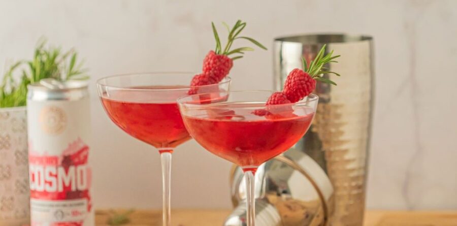 Niche Cocktails Looks for Six Figure Investment with Seedrs Campaign