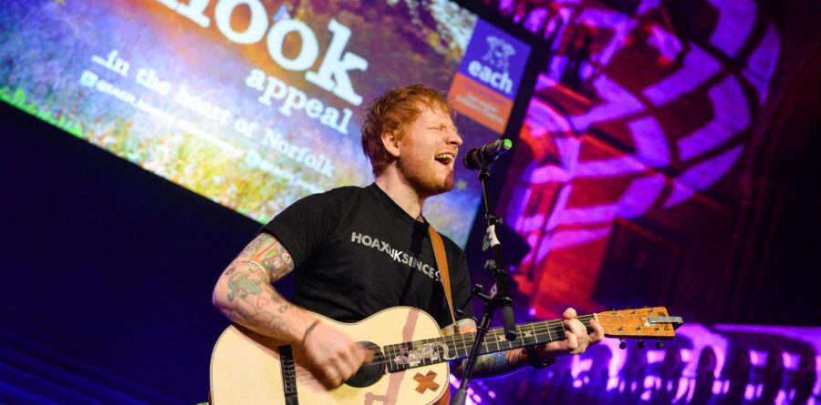 Ed Sheeran’s donations raise nearly £30,000 for EACH